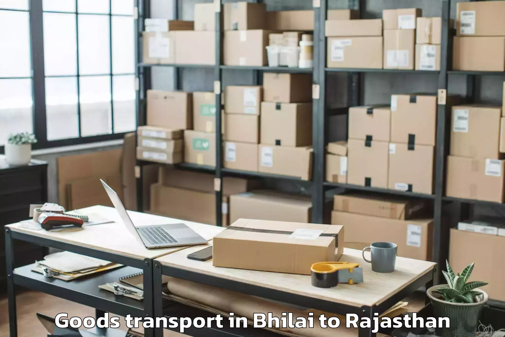 Leading Bhilai to Pali Goods Transport Provider